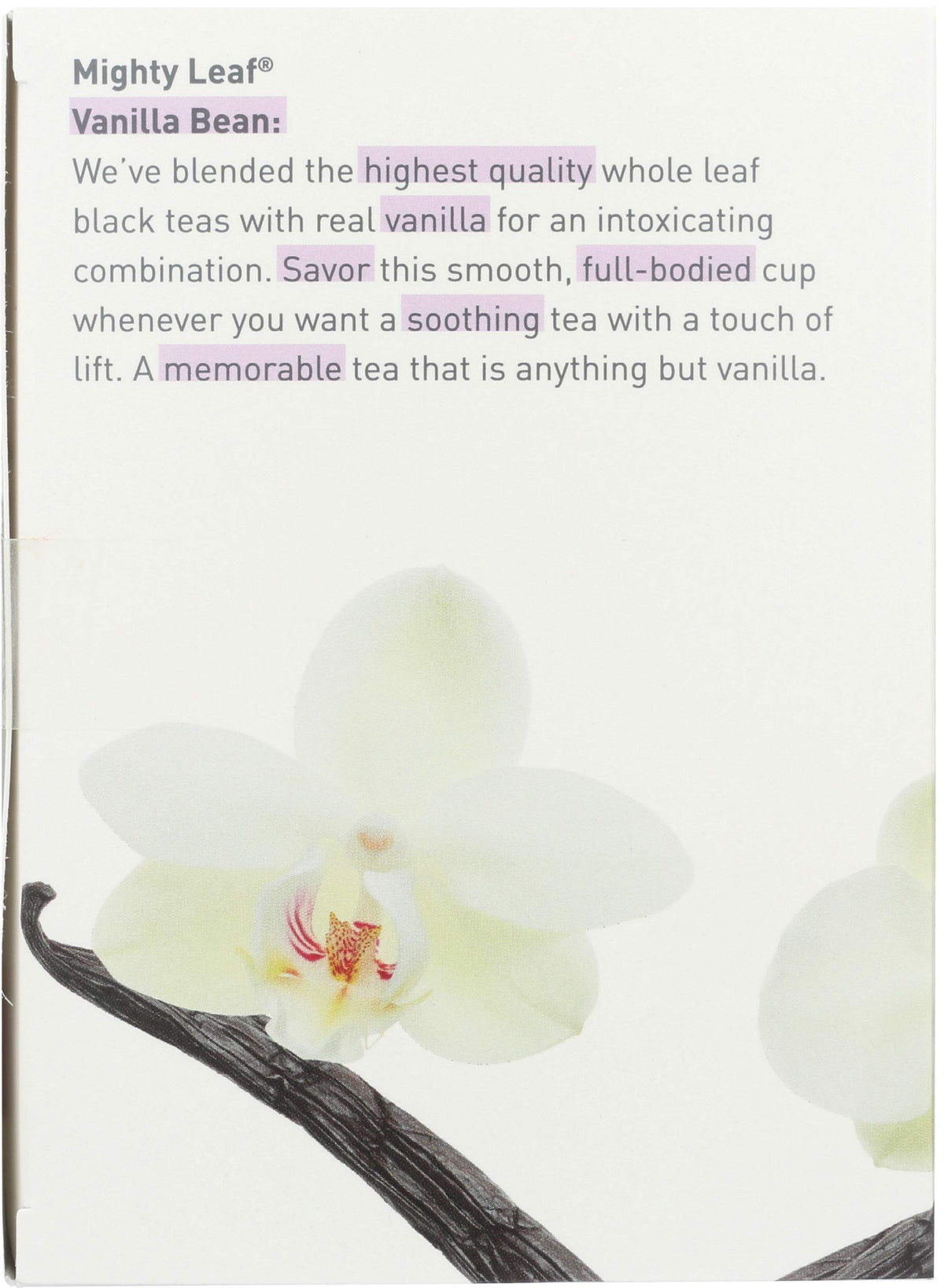Mighty Leaf Vanilla Bean aroma enriching a comforting tea moment.