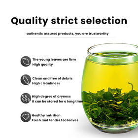 MIHUNTANG Jiaogulan tea green liquor signals a vibrant infusion and clean finish.