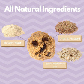 MilkBliss lactation cookies mix oven-baking scene promotes warm, convenient snack.