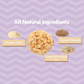 MilkBliss packaging with 12-count label, convenient lactation-friendly snack.