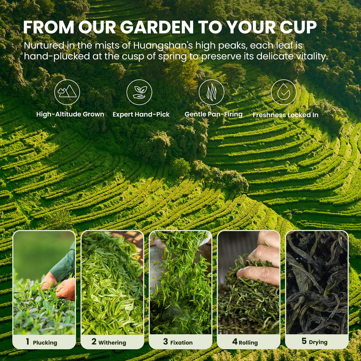 MILLETER Maofeng hot brew cup with smooth finish.