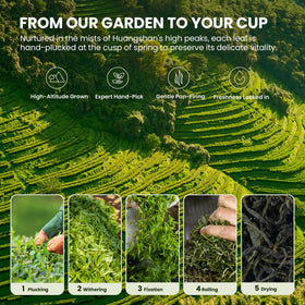 MILLETER Maofeng hot brew cup with smooth finish.
