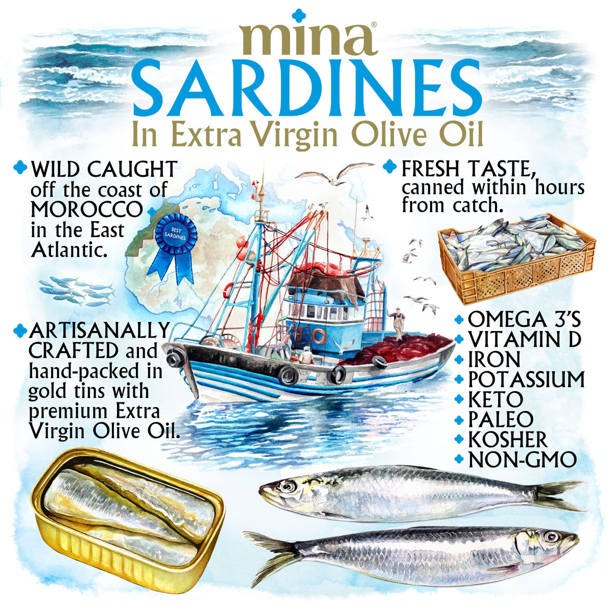 Hand-packed Mina sardine cans highlight freshness and artisanal care.