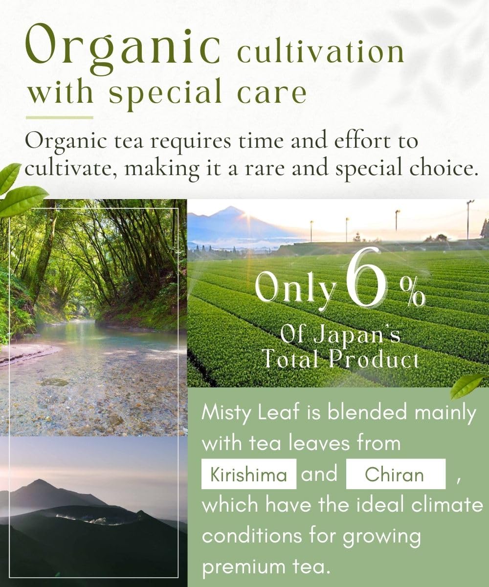 Misty Leaf Sencha steaming cup invites a calming daily ritual.