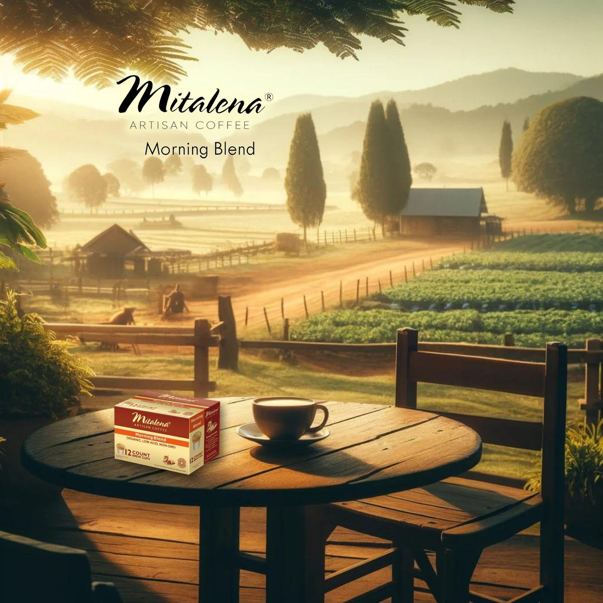 Mitalena Gourmet Coffee low-acid pod highlighting gentle flavor for sensitive stomach mornings