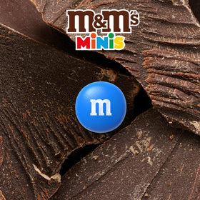 Close-up of colorful shells on M&M'S MINIS for dessert decorating.