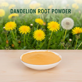 MOCKRAND Dandelion Root Tea Powder solubility shown for easy preparation.