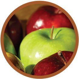 Modern Oats Apple Walnut Oatmeal Cup pack for twelve, convenient breakfast option