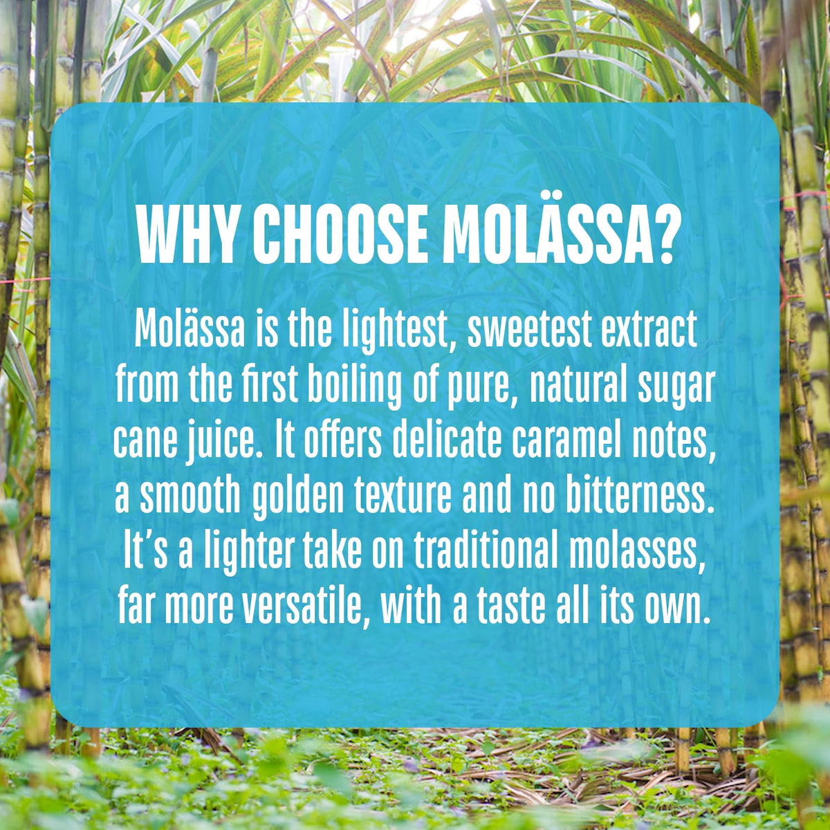 Granola topped with Molässa delivers warm caramel flavor.