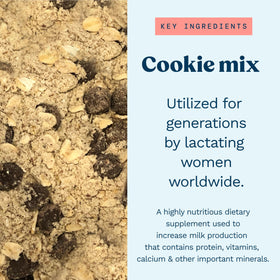 Fresh cookie dough from Mommy Knows Best mix ready to bake for nursing moms.