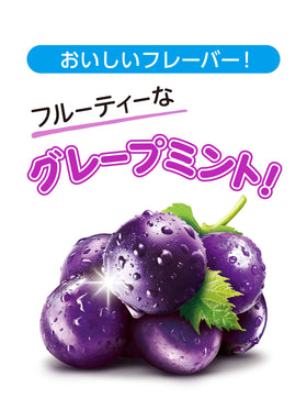 Monderizu grape mint gum bottle packaging emphasizing convenience