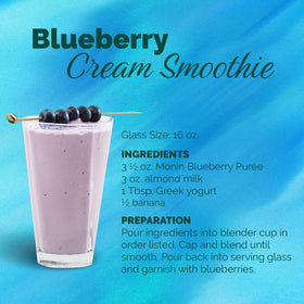 Monin Blueberry puree smoothie bowl, a tasty morning option.