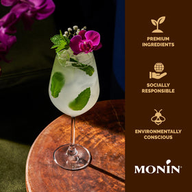 Monin Elderflower syrup with lemonade in a tall glass highlighting grapefruit notes.