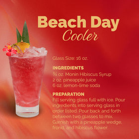 Monin hibiscus syrup lemonade mix for bright summer drinks