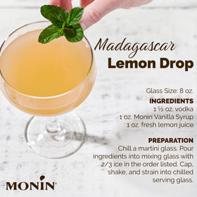 Cocktail mixer with Monin Vanilla Syrup adding flavor depth