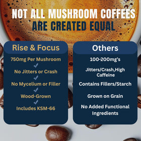 Monkey Brew Rise and Focus Turkey Tail ingredients emphasize gut-friendly profile