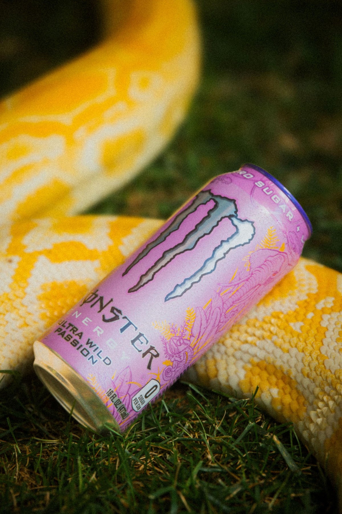 Monster Ultra Wild Passion refresh moment for workouts or commutes