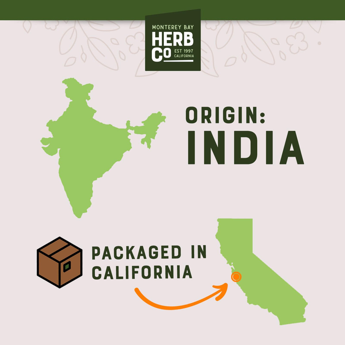 MONTEREY BAY HERB CO chicory additive for stout beer brewing, adds depth.