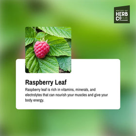 Monterey Bay Herb Co raspberry leaf dried bundle for brewing.