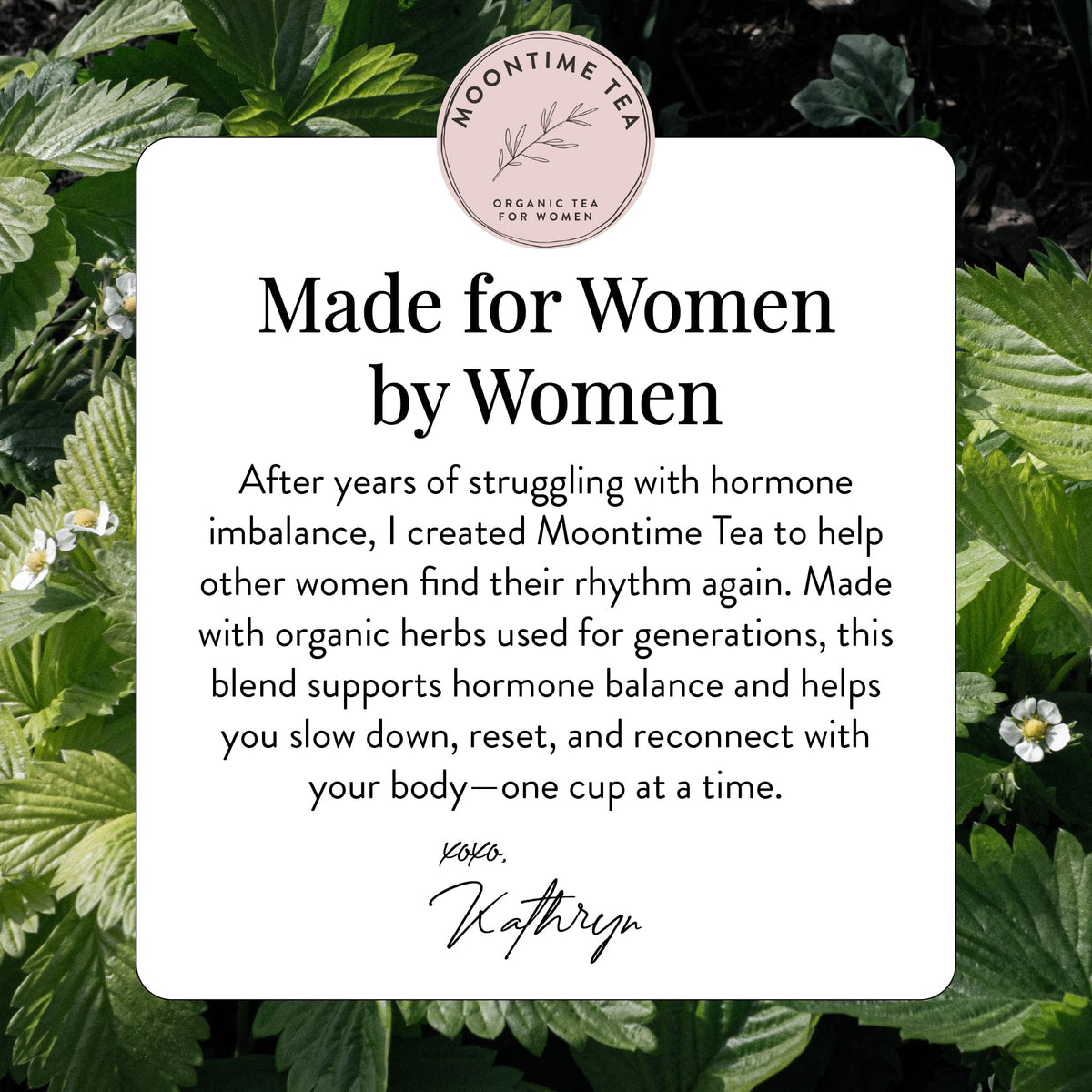 Moontime Tea steeping image captures a calming 8 oz ritual.