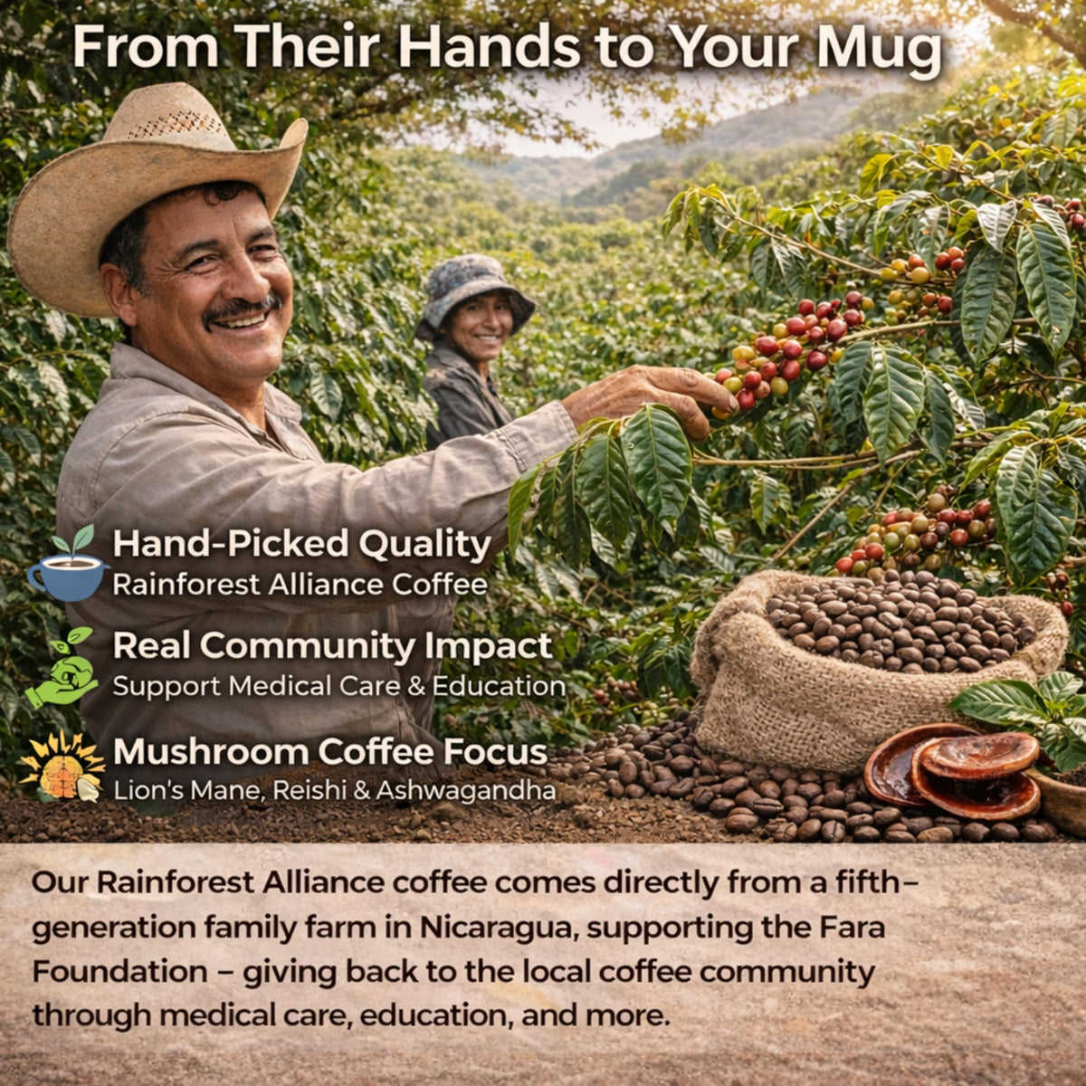 Moontower Adaptogen Coffee with Ashwagandha supports calm focus for tasks.