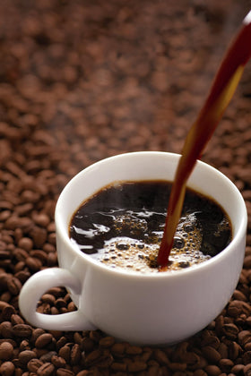 Moose Munch brew cup steaming, inviting aroma for a medium roast moment.