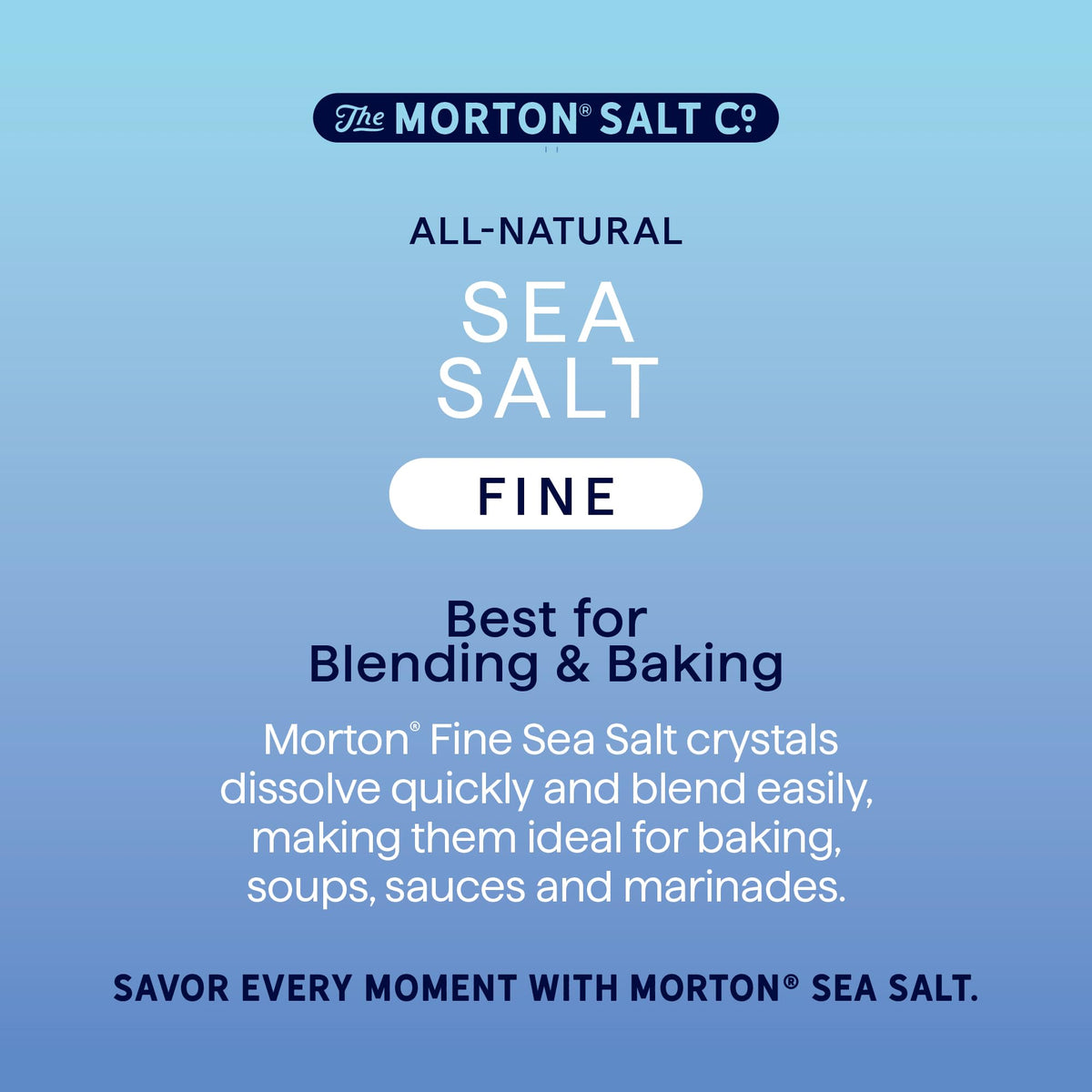 Morton shaker set packaging reveals two 17.6 oz bottles in a box