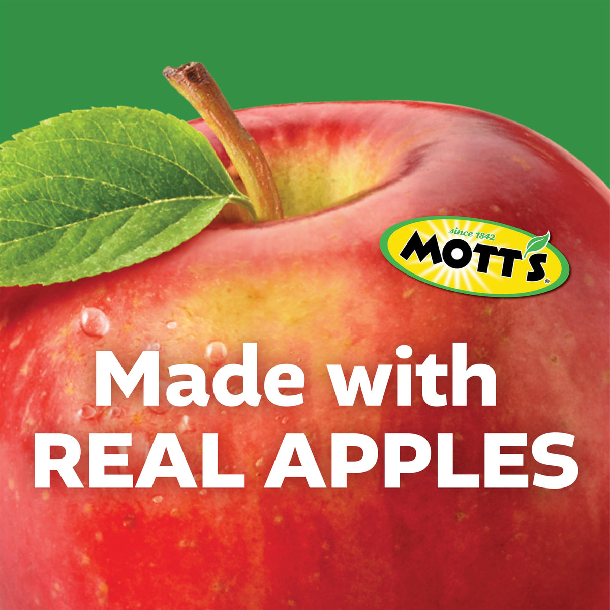 Nutrition label notes no artificial flavors in Mott's applesauce.
