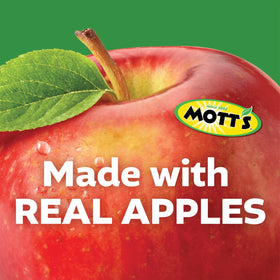 Nutrition label notes no artificial flavors in Mott's applesauce.
