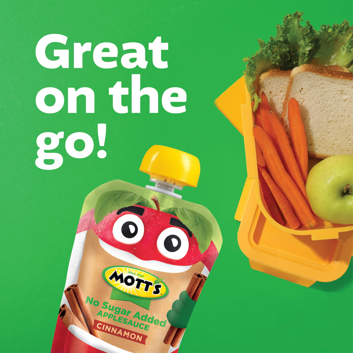 Kid-friendly snack: Mott's No Sugar Added Cinnamon Applesauce pouch.