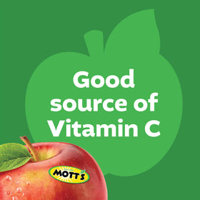 No artificial flavors in Mott's No Sugar Added Cinnamon Applesauce.