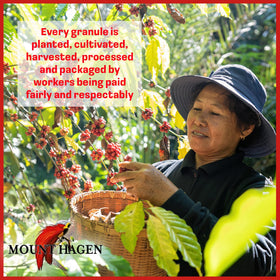 Mount Hagen decaf travel-friendly coffee setup for on-the-go
