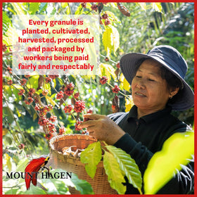 Lattes and smoothies boosted by Mount Hagen instant espresso