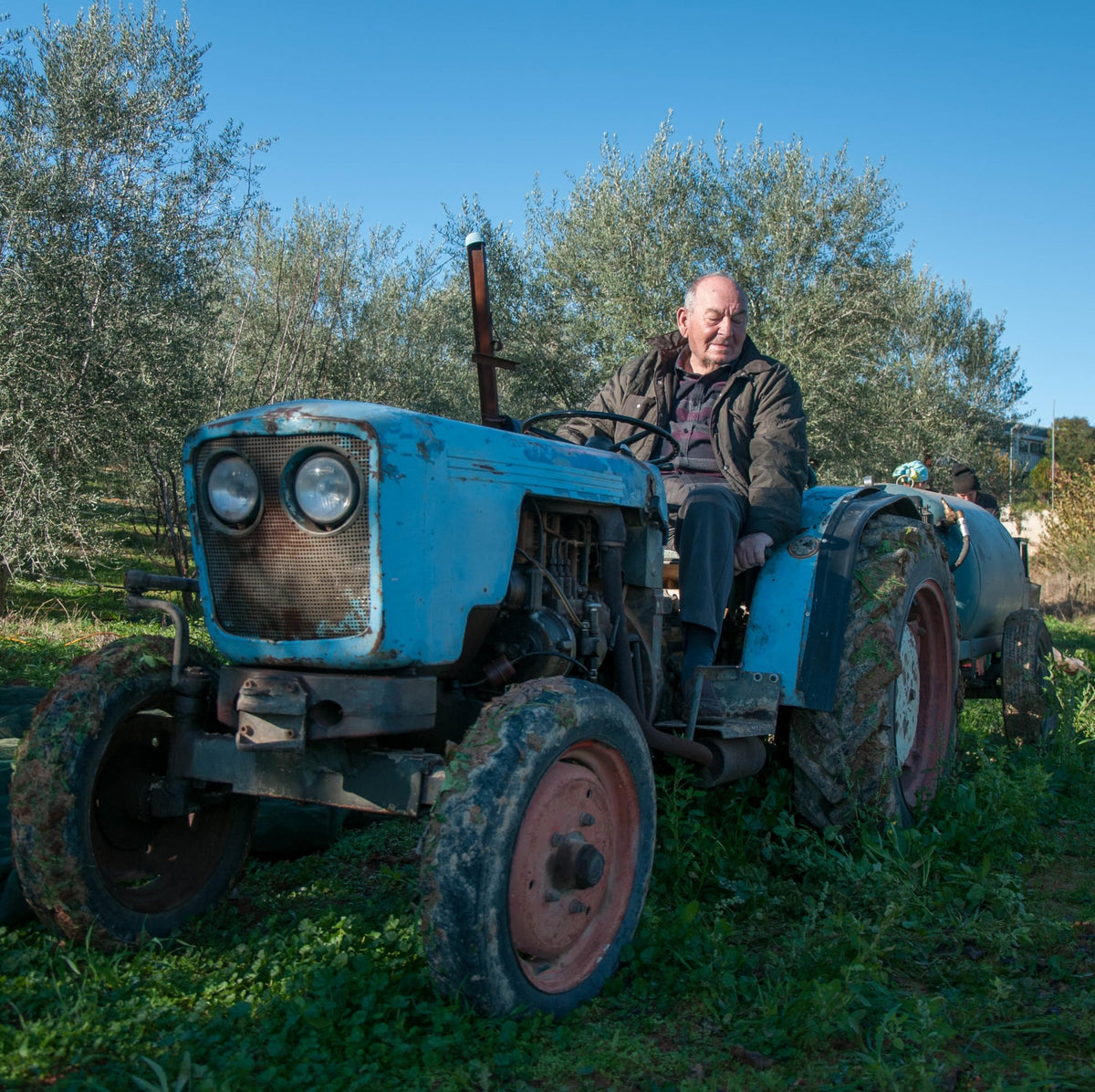 Mr. Papou's never-blended Greek olive oil label highlights purity.