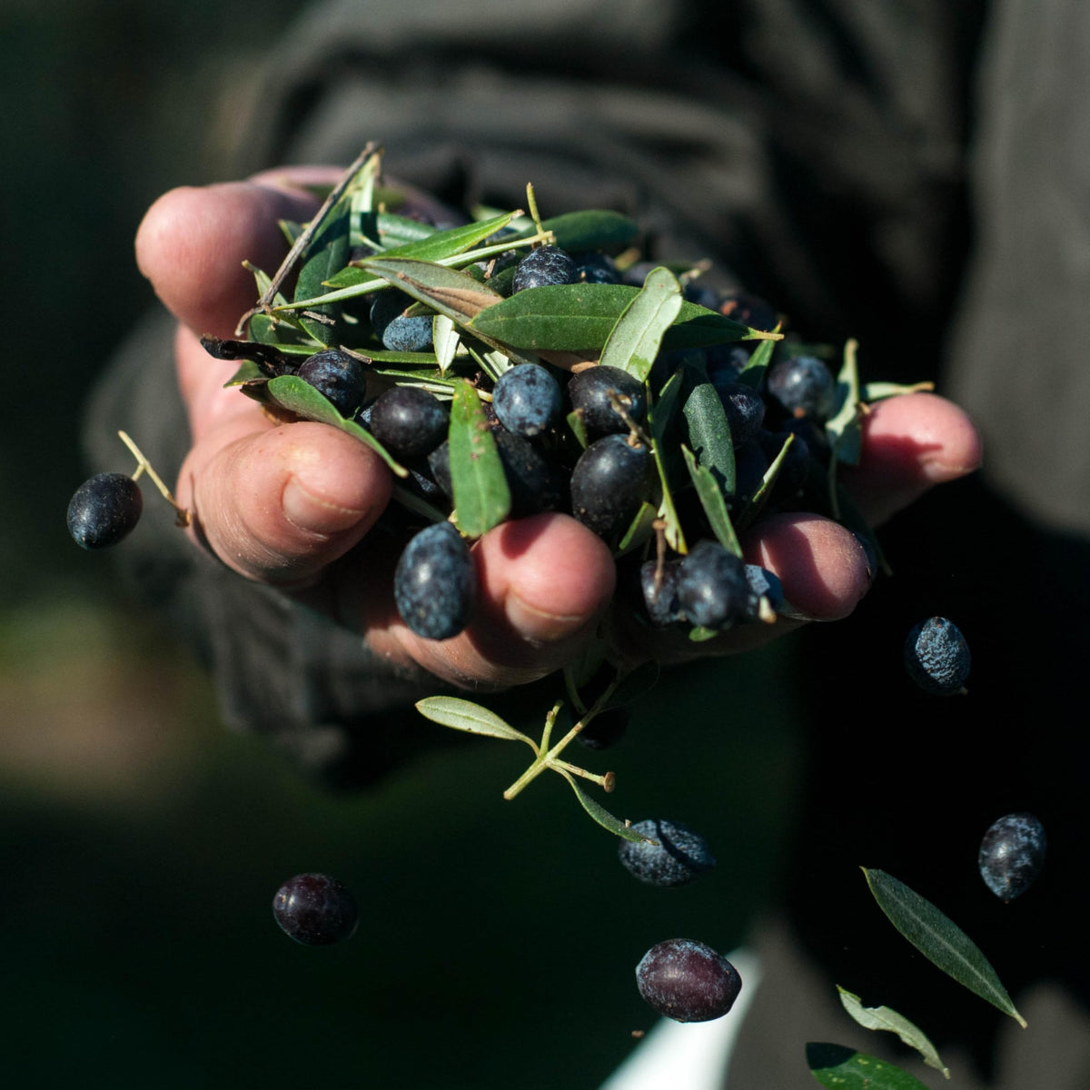 Mr. Papou's olive oil on roasted vegetables for a polished finish