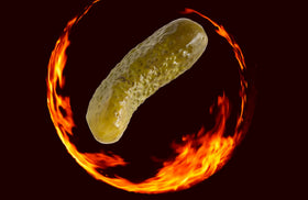 Mrs. Kleins Spicy Dill Pickles sliced detail showing fiery crunch and vibrant flavor.