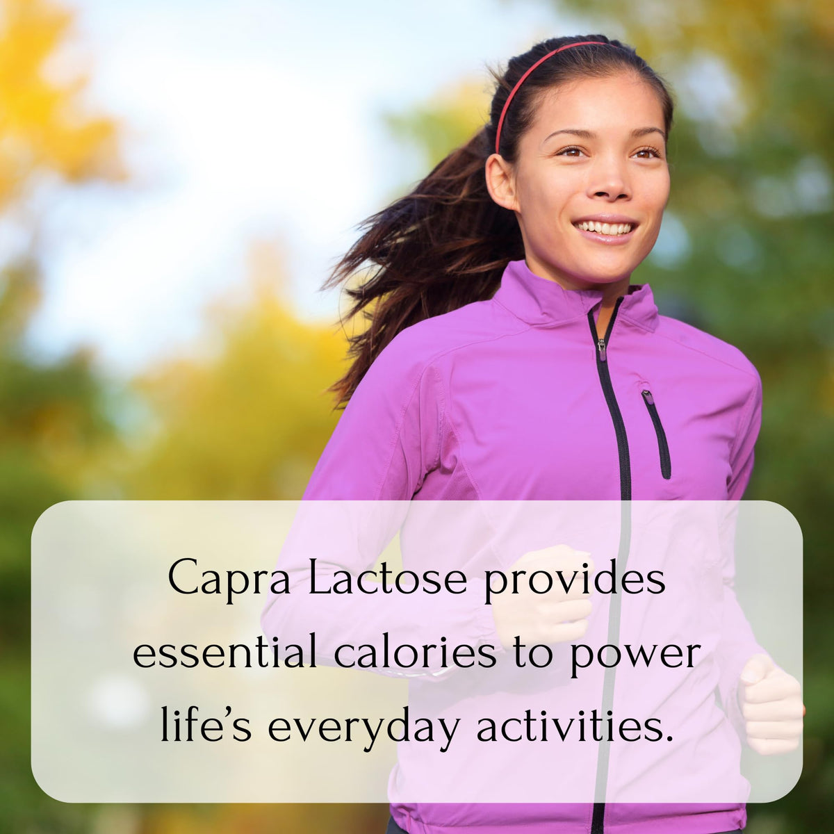Mt. Capra Goat Milk Lactose baking use in breads and pastries.