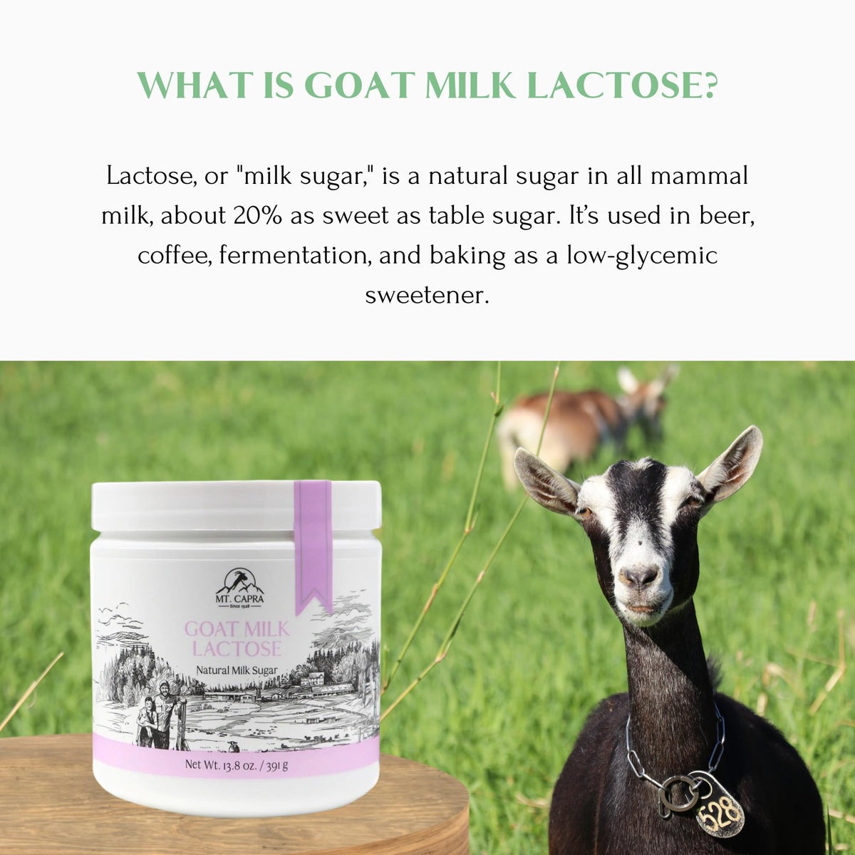 Mt. Capra Goat Milk Lactose coffee use for mild sweetness.