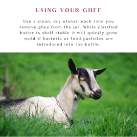 Pasture-raised Mt. Capra ghee from a Pacific Northwest family farm