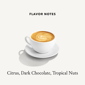 Mt. Comfort Coffee Costa Rica beans in roast setup, highlighting high-altitude cultivation and depth