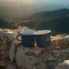 Mt. Comfort Coffee El Salvador farm view, illustrating high-altitude origin.
