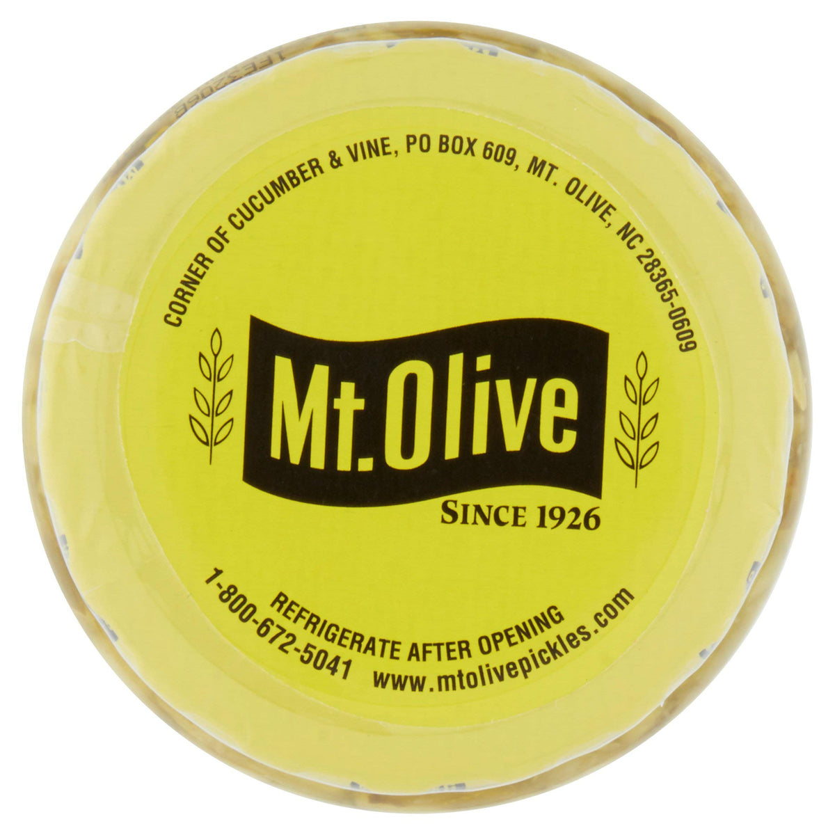 Mt. Olive Simply Relish Deli Style Dill pack shot with two jars for family meals and gatherings.