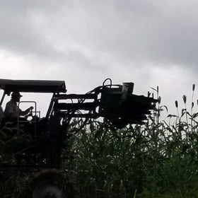 Muddy Pond Sorghum Mill award label, trusted heritage and US-made quality.