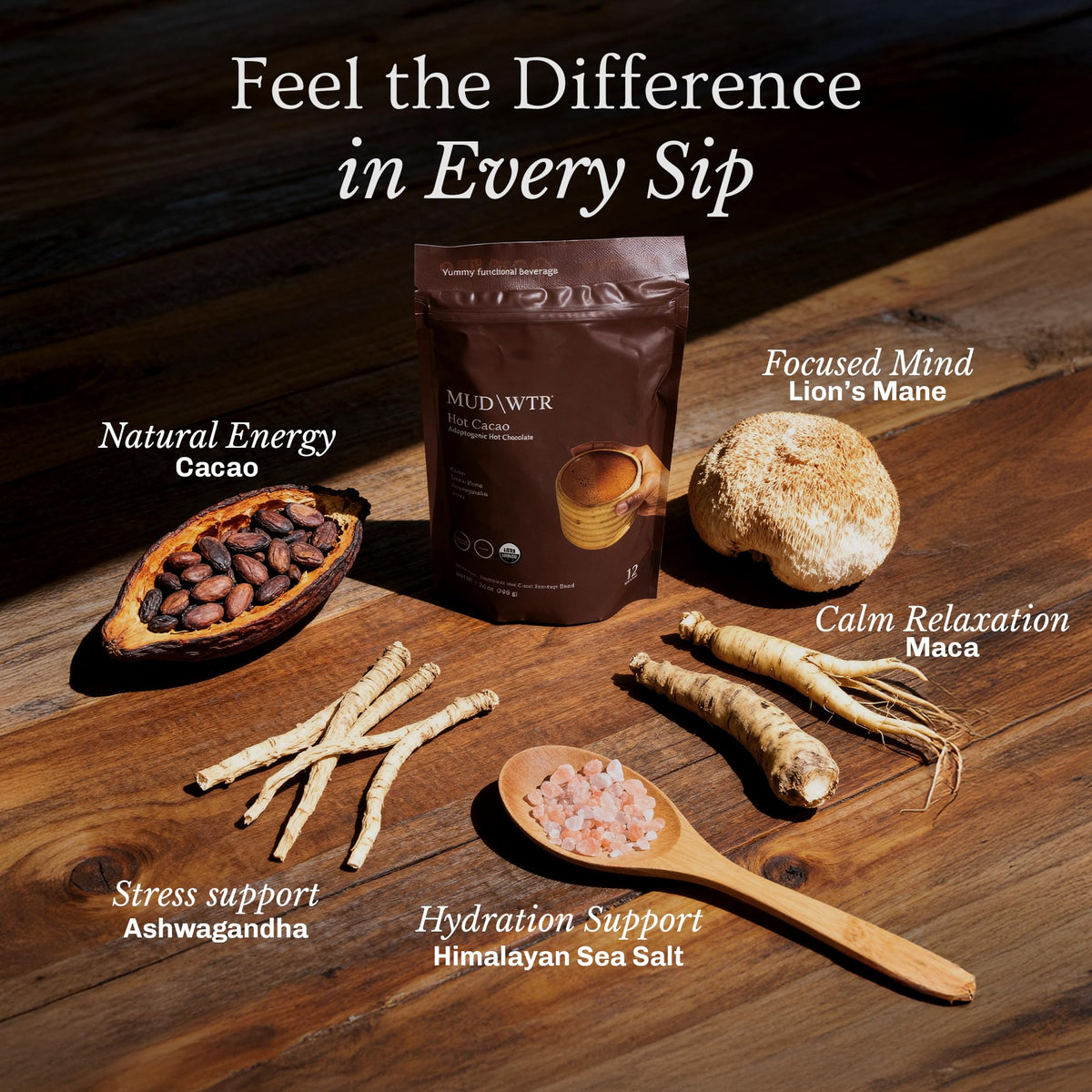MudWTR Hot Cacao ingredients panel with Lion's Mane and Ashwagandha.