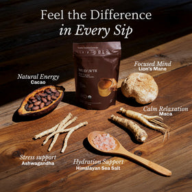 MudWTR Hot Cacao ingredients panel with Lion's Mane and Ashwagandha.