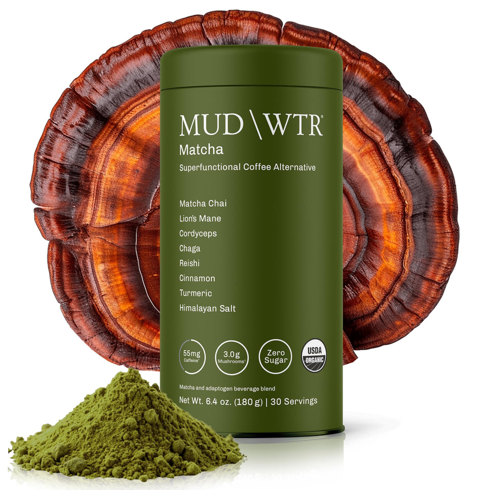 MUDWTR Mushroom Matcha Bottle shows 3,000mg adaptogenic mushrooms for steady energy.