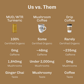 MudWTR Turmeric Decaf ingredients close-up with Lion's Mane, Chaga, Reishi, Cordyceps