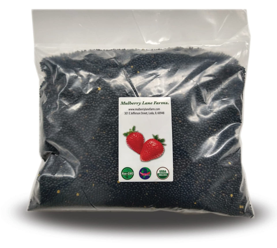 Mulberry Lane Farms black beluga lentils bulk bag ready for pantry, ideal for quick meals.