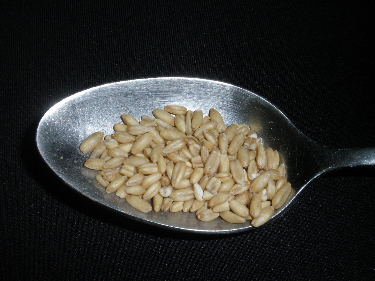 Mulberry Lane Farms hulled oats with hulls removed for quicker cooking.