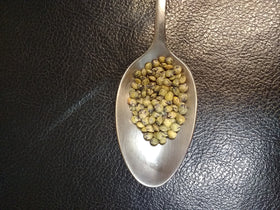 Mulberry Lane Farms French Green Lentils bulk-pack, convenient size for pantry staples
